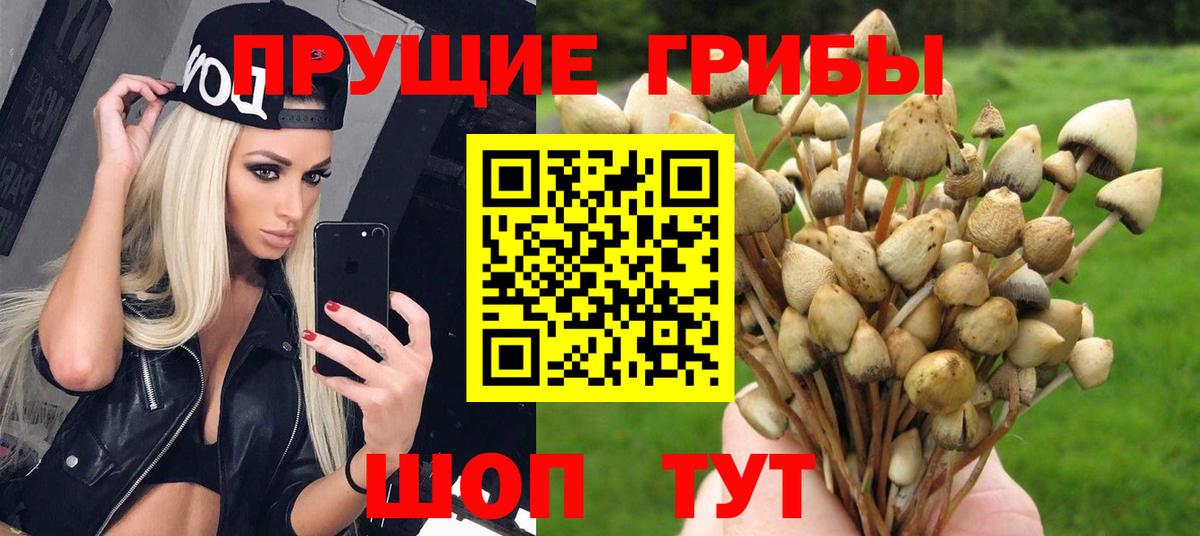 Асбест  Галлюциногенные грибы GOLDEN TEACHER  Вход с VPN 