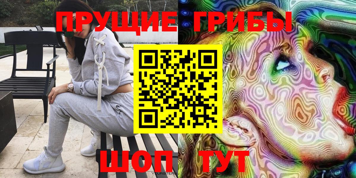 Псилоцибиновые грибы Psilocybine cubensis Асбест
